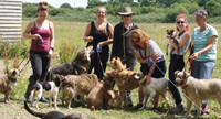 D.W. Nye gives Holbrook Animal Rescue £500