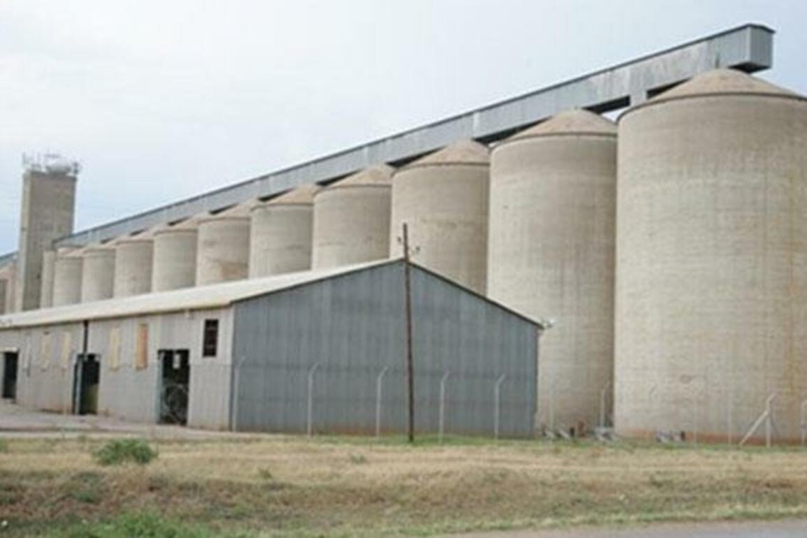GMB expands grain collection points -  Bulawayo24 News