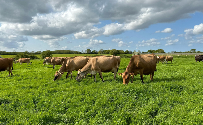 Dairy special: Switch to regenerative practices leads to success on Norfolk dairy farm