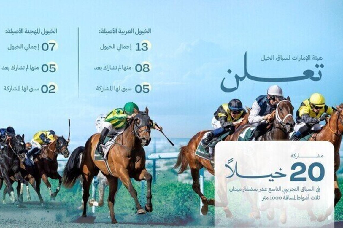 19th trial race concludes at Meydan with 20 horses