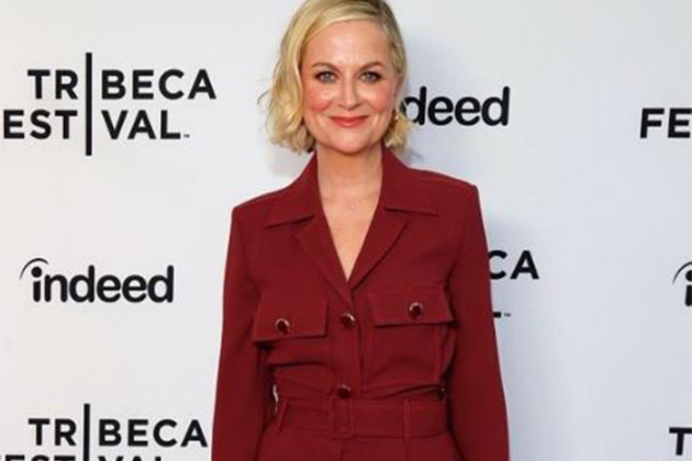 Amy Poehler return to TV in new comedy series 'Dig'