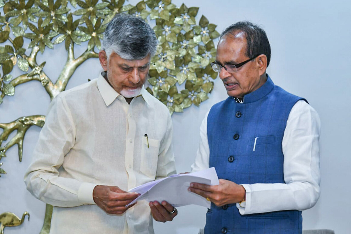 Andhra Pradesh records 2.28% drop in chemical fertiliser usage: CM Naidu tells Agriculture Minister Shivraj Singh