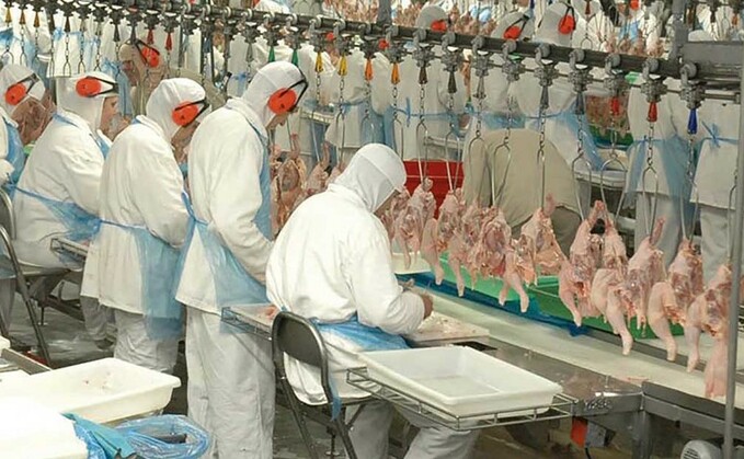 The poultry sector is one area that has benefitted from advances in technology