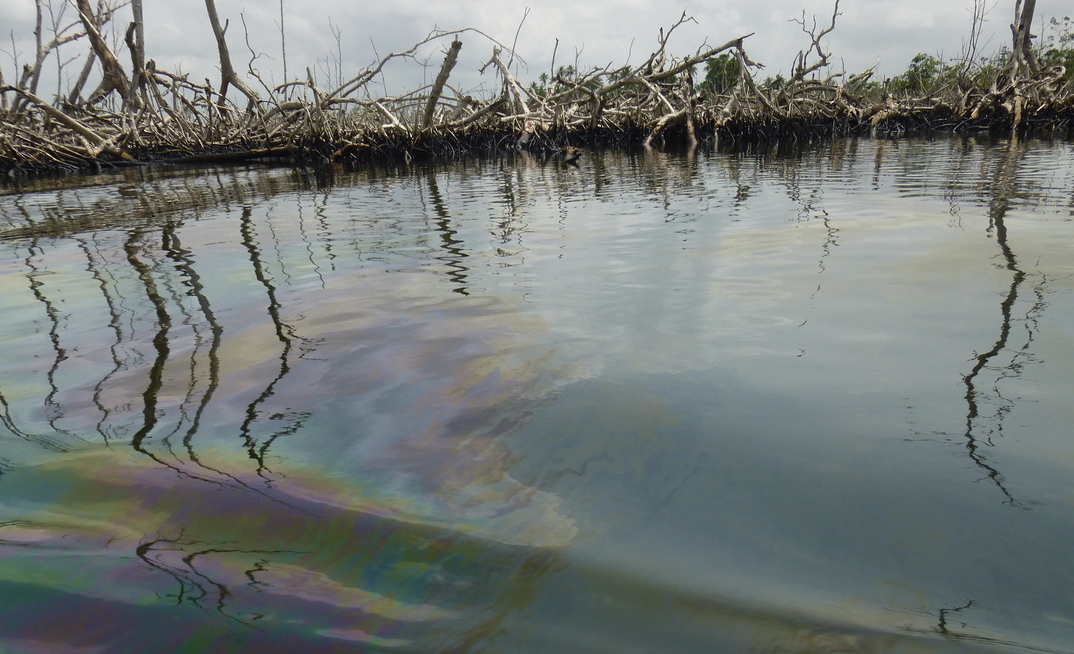 Court of Appeal rules Shell can be taken to court over Nigerian pollution