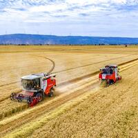 China sees more prosperous agriculture, livable countryside