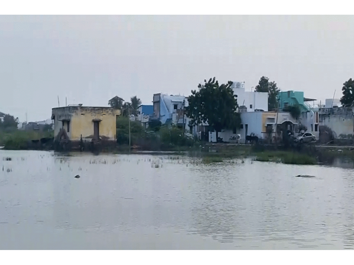 Tamil Nadu: Salt production halts in Thoothukudi as stagnant rainwater causes trouble