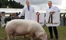 Supporting rare breeds would be fitting tribute for Kings Coronation