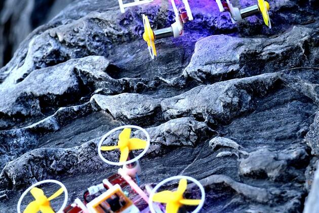 Chinese scientists develop world's smallest untethered terrestrial-aerial micro-robot