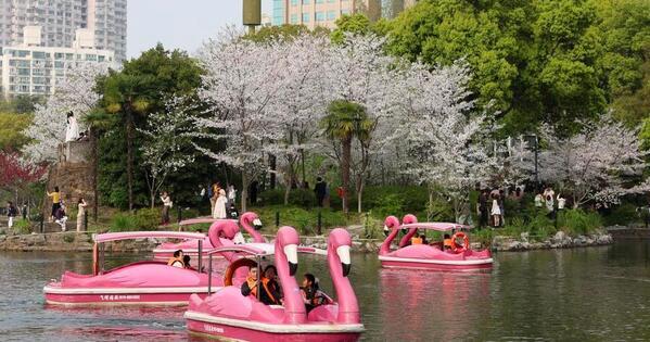 Xinhua Photo Daily | April 5, 2026