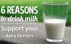Support your dairy farmers: Six reasons to drink milk #Februdairy