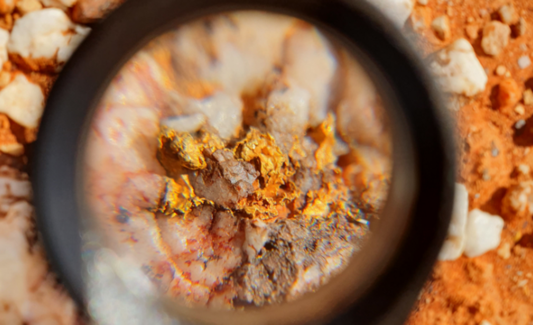 Flying Koonenberry hit with S249D notice