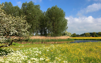 Peterborough City Council puts farms up for sale