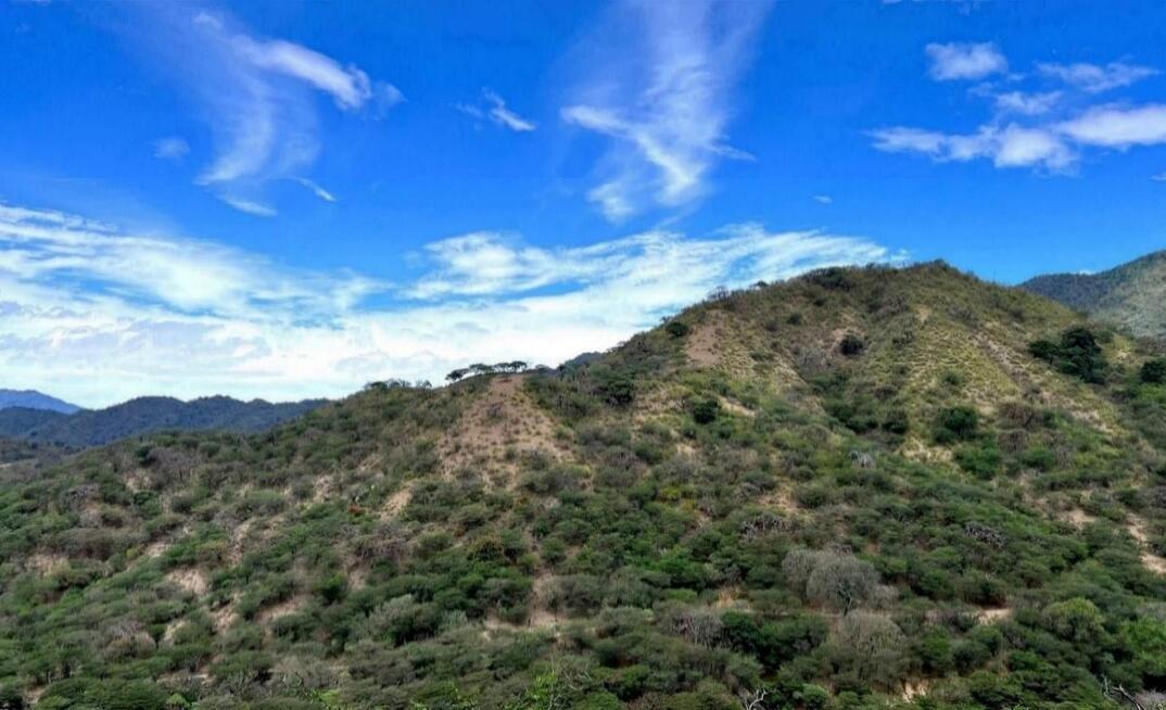 The Porotillo porphyry hill