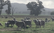  Grants of up to $22,000 are available for young scientists and innovators working in agriculture.