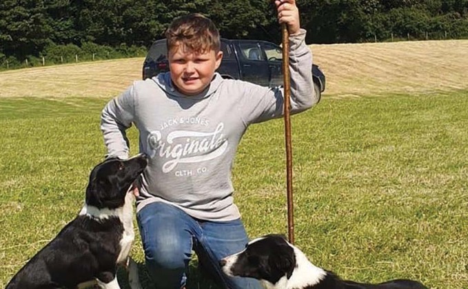 Sheepdog trialler profile: Young trainer Henry Harrison aiming high on trialling scene