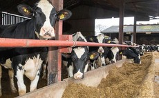 Control quality and costs by producing home-grown haylage