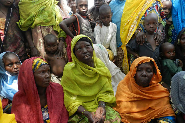 UN agency boosts support in Lake Chad Basin to safeguard agricultural livelihoods