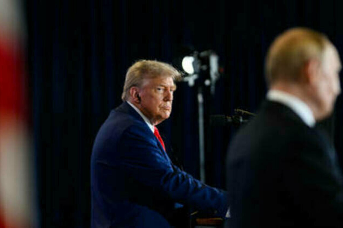 Expert calls on Trump to agree to Putin's New Start offer - RIA