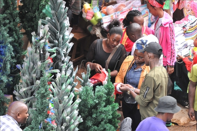 ts that time of the year when hristmas trees are in high demand hoto by lfred chwo