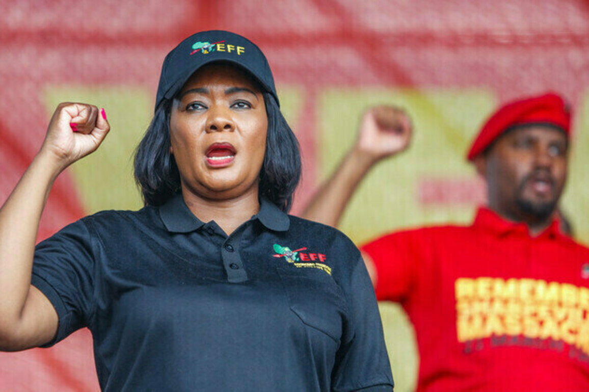 South African MP proposes Apartheid tax to shield poor from VAT hike
