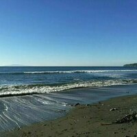 The world's longest marine heat wave upended ocean life across the Pacific