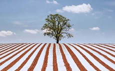 8 images that prove the British countryside is stunning in Landscape Photographer of the Year competition