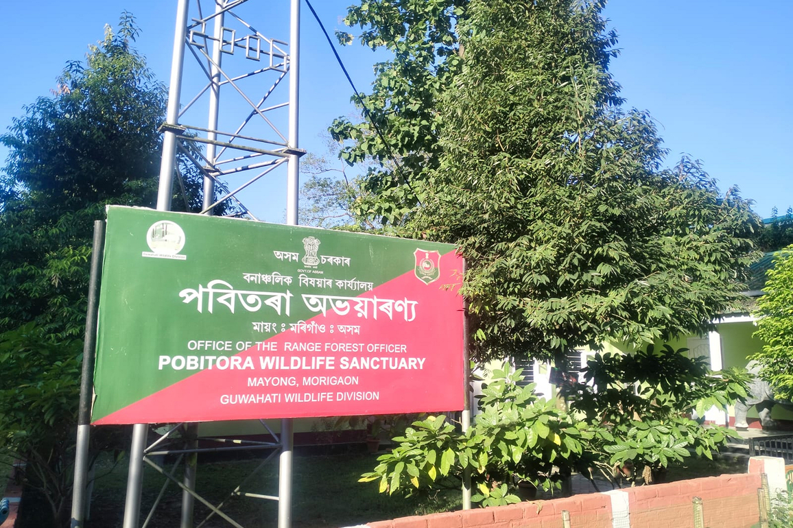 Pobitora Wildlife Sanctuary witnesses surge in migratory birds in Morigaon
