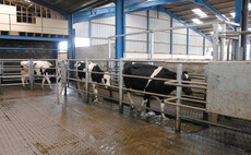 Safe disposal of spent footbath solutions