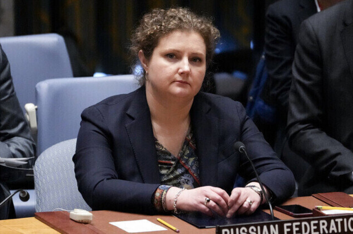 Rebels in Sudan blockingprogress on disputed region Russianenvoy