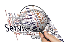 Sector specialists: The new industry darlings?