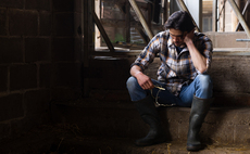 Fighting the winter blues