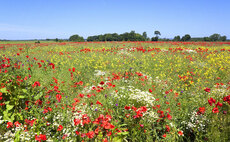 Regenerative agriculture survey: What does it mean for you and your business?