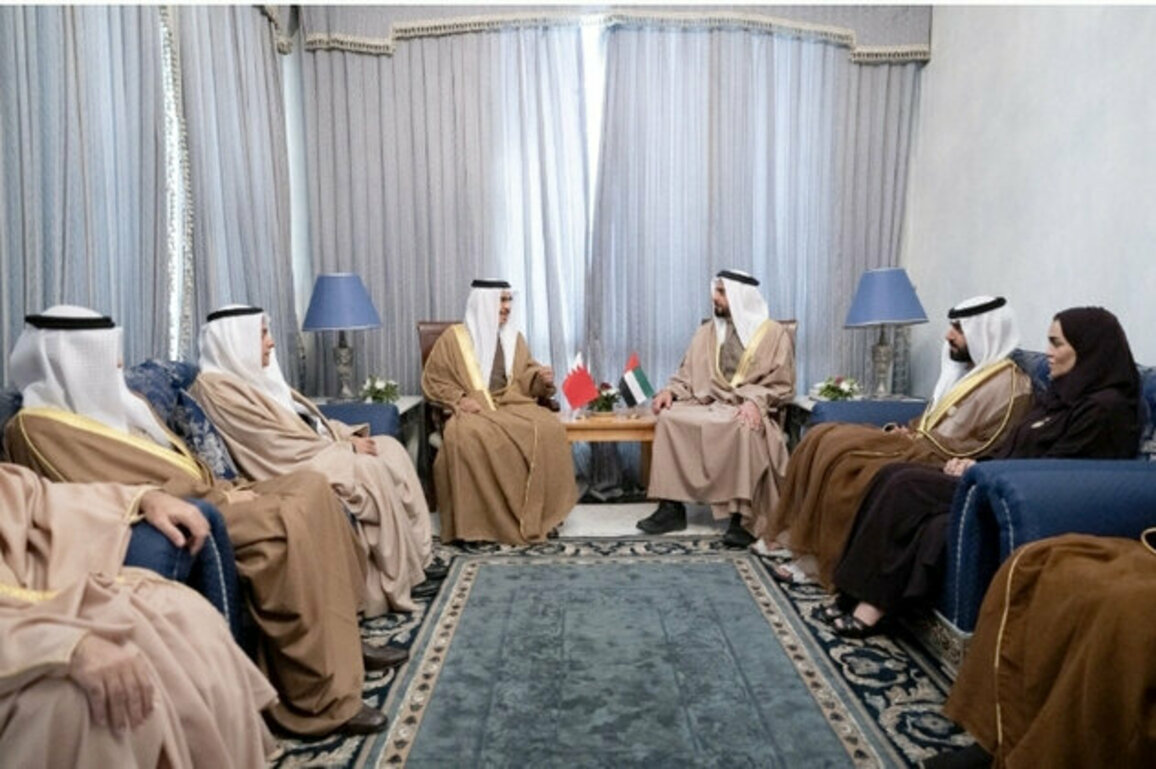Saif bin Zayed meets Bahraini Interior Minister in Tunisia