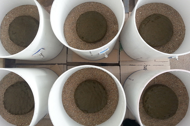 New research has shown dung beetles can drastically reduce greenhouse gas emissions from decomposing cattle manure. Pictured are test chambers used in the research.