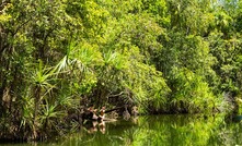 Berry Springs nature park.