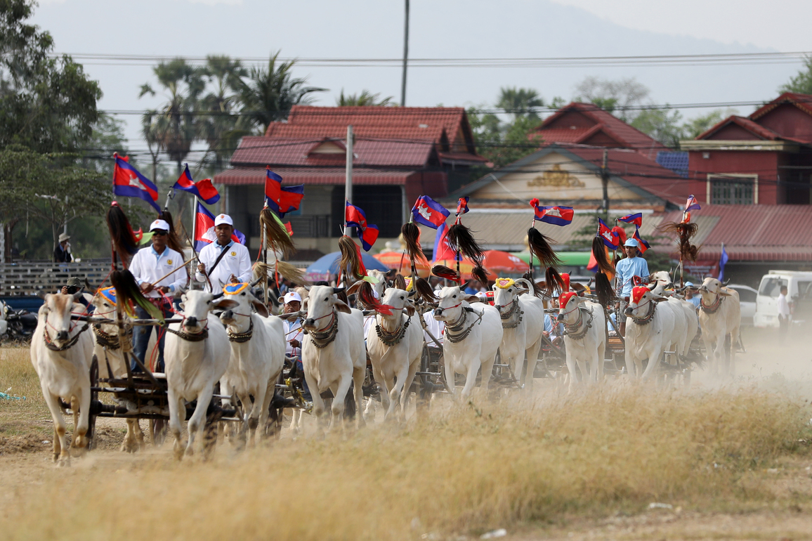 CAMBODIA-KAMPONG SPEU-OX-CART RACE