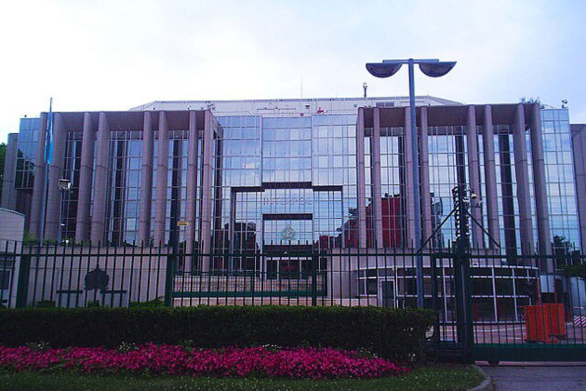 Interpol busts major cybercrime rings in Africa, seizes millions