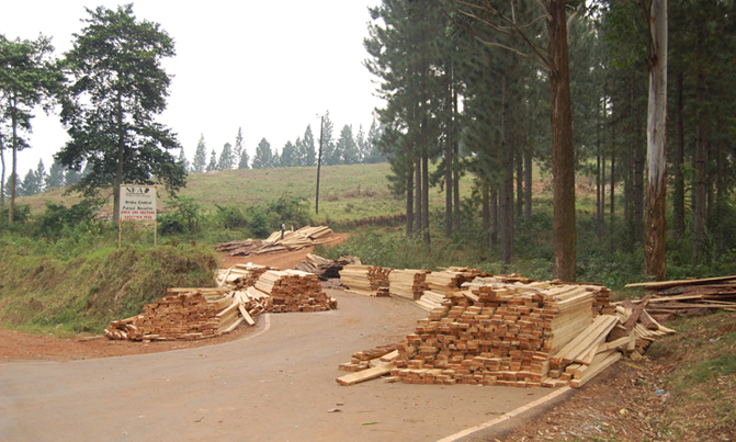 NFA deployment fails to halt logging, charcoal burning in Kyenjojo NFA deployment fails to halt logging, charcoal burning in Kyenjojo