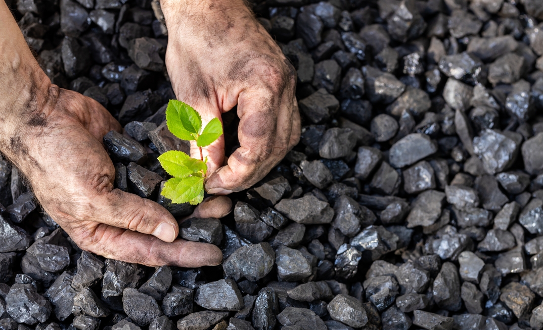 Credit: Andrzej Rostek, via Shutterstock