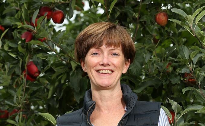 'Talk is cheap' - Apple growers call for fair returns from supermarkets