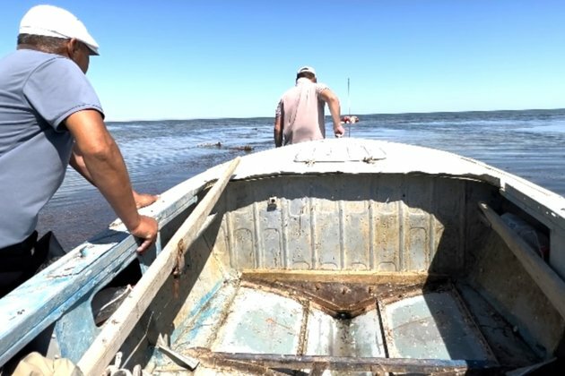 No Water, No Fish, No Future: The Disappearing Little Aral Sea