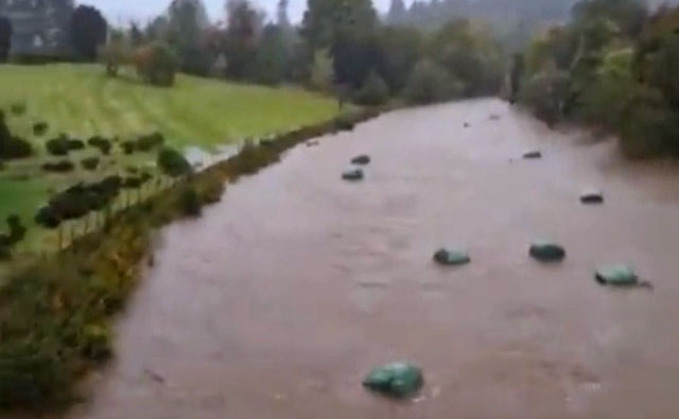 Silage bales floating out to see following heavy rainfall in Scotland