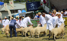 Royal Welsh to host third Kerry Hill National Show 