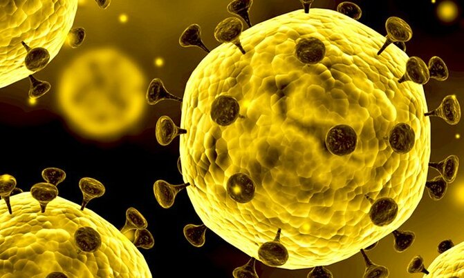 Germany says virus vaccine research not for sale Germany says virus vaccine research not for sale