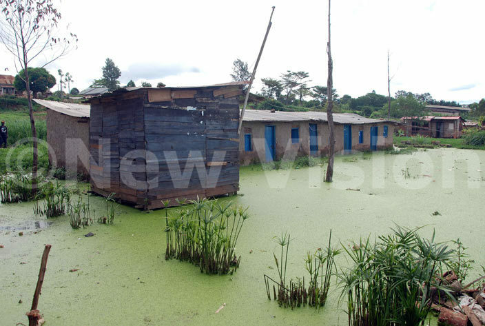  row of houses submerged in water filled with algae at ort ell landing site hoto by bbey amadhan