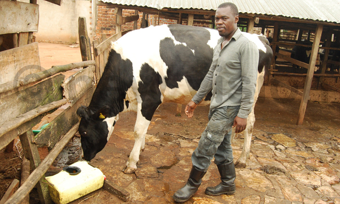 The trick in farming at home The trick in farming at home