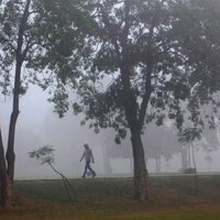 Pak: Punjab smog crisis deepens as Bahawalpur records 469 AQI