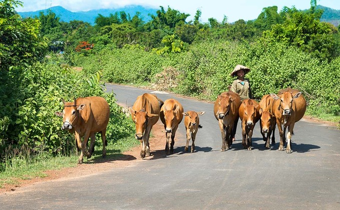 TAC plea for resource to scrutinise trans-pacific agricultural trade deal