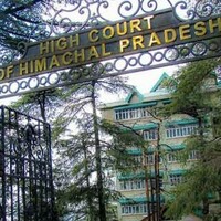 Himachal forest encroachment drive: Apple trees felled on HC orders in Kotkhai village