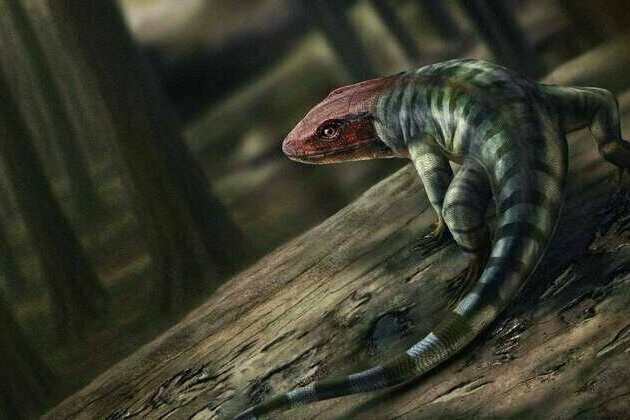 Two lizard-like creatures crossed tracks 355 million years ago. Today, their footprints yield a major discovery